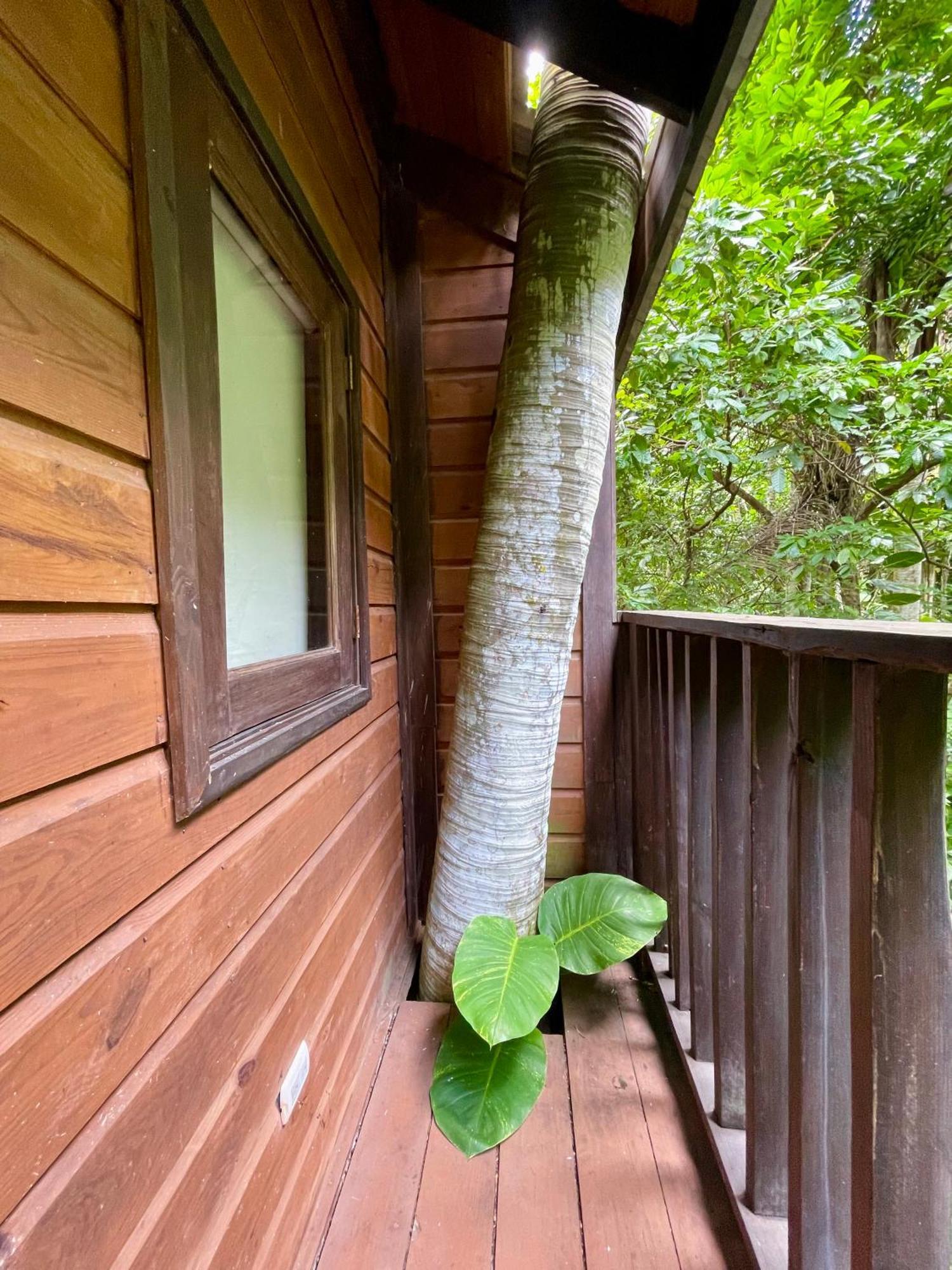 Platon Ecolodge Barahona Exterior foto